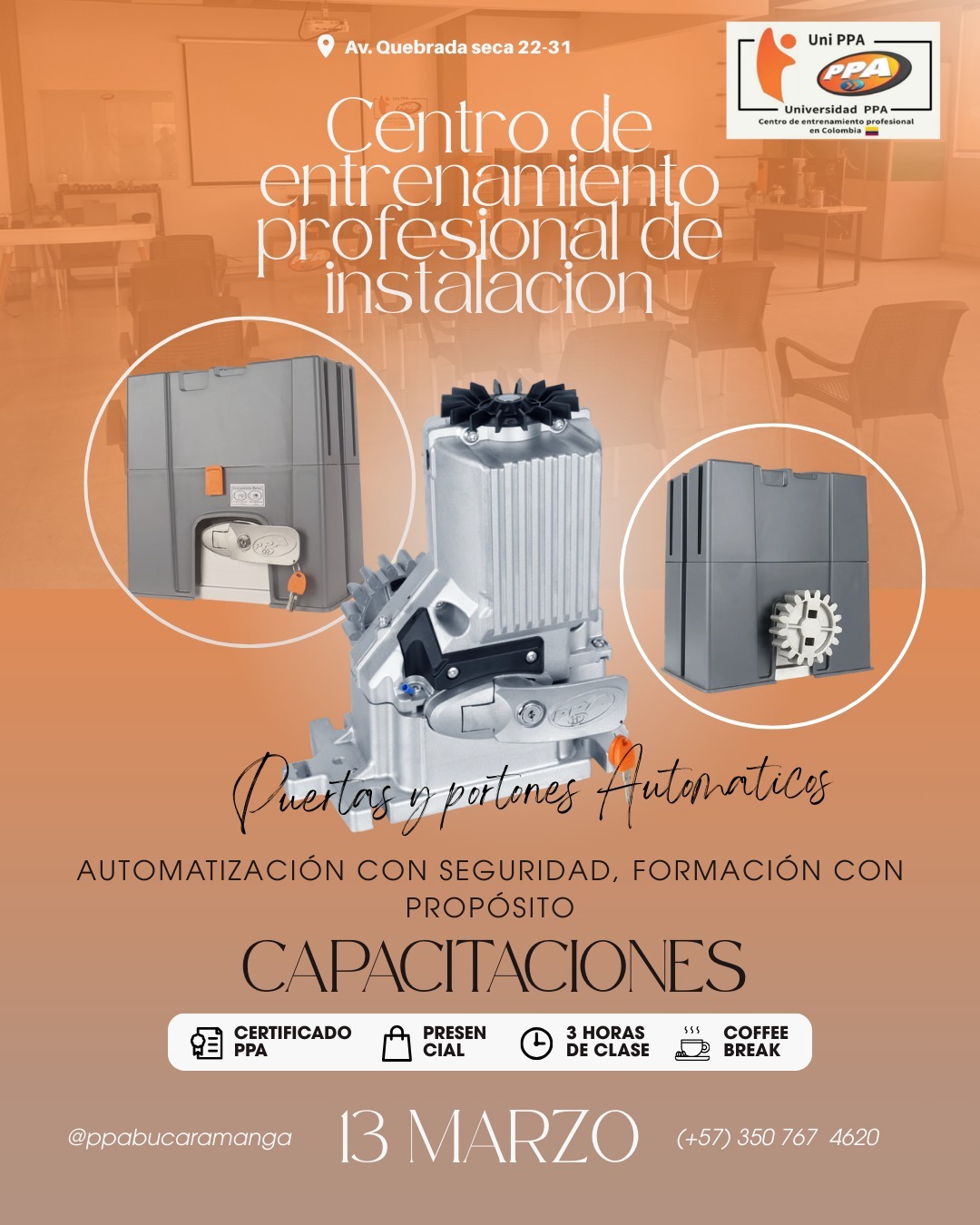 Capacitación PPA